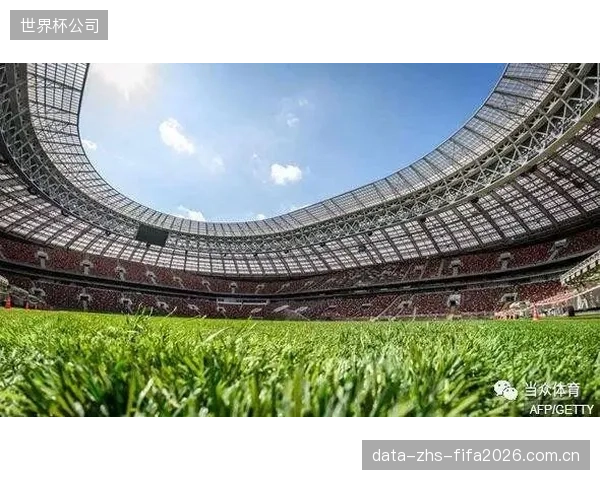 混合草坪提升场地耐用性，沙特队需适应更稳定的球速。